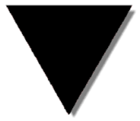 Persecución a los negros.