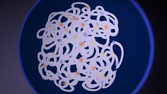 Human genome s fully developed