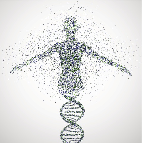 Human Genome Project starts