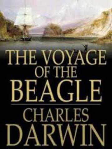 The voyage of the beagle