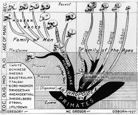 The origin of species by means of natural selection is published