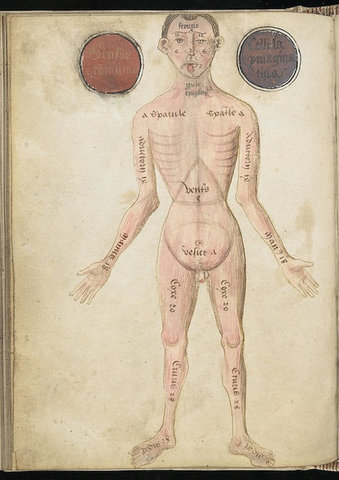 Galen of Pergamon describes the human body