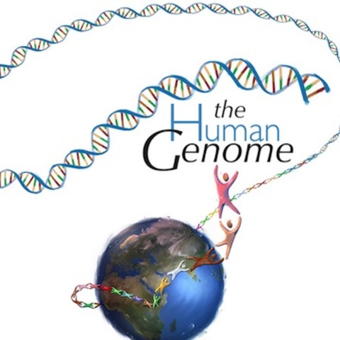 The Human Genome Project Completed