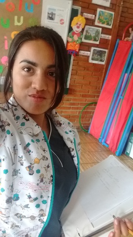 ACTUALMENTE ESTOY EN LA FORMACIÓN COMPLEMENTARIA