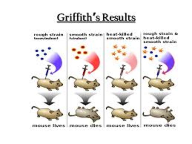 Fredrick Griffith describes the process of transformation