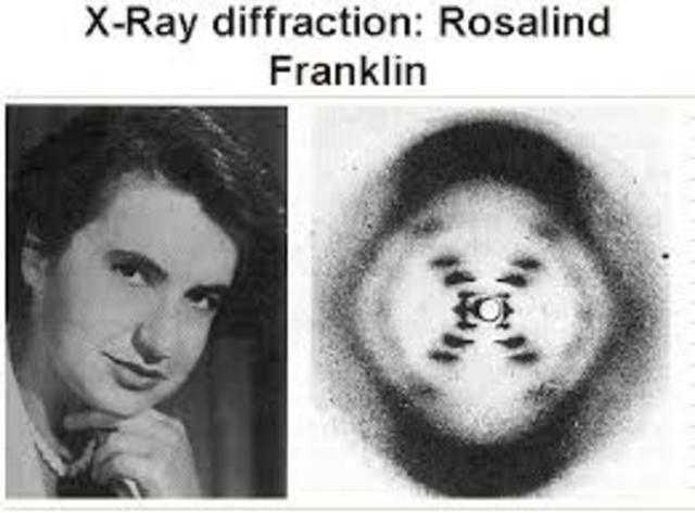 Rosalind Franklin works with DNA and Xray crystallography and develops "image 51"