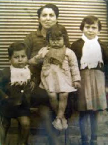 utilizan termino familia