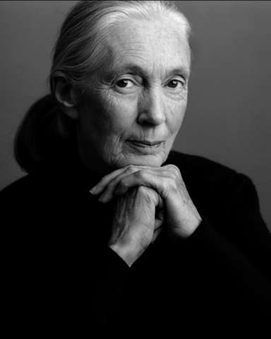 Jane Goodall - Londres