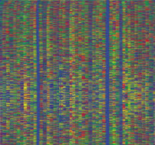 Human genome is fully sequenced