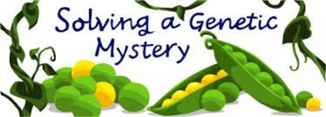 Gregor Mendel publishes works on inheritance of traits in pea plants