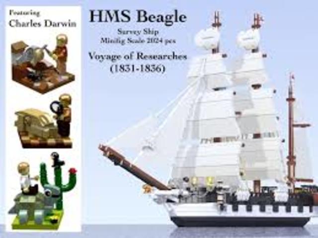 The Voyage of the HMS Beagle