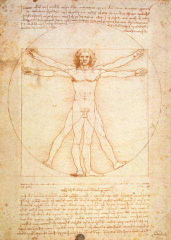 Vitruvian Man by Leonardo da Vinci