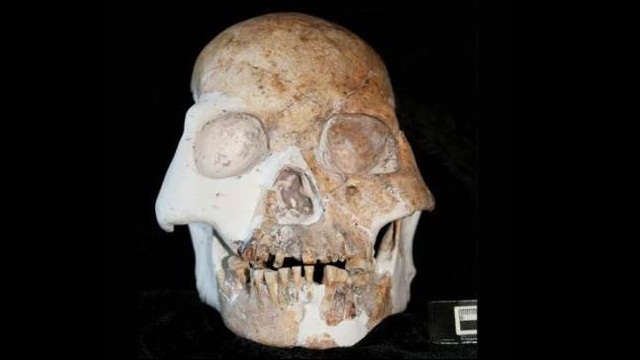 Homo denisova fossil discovered