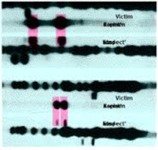 Tommie Lee Andrews is convicted of rape