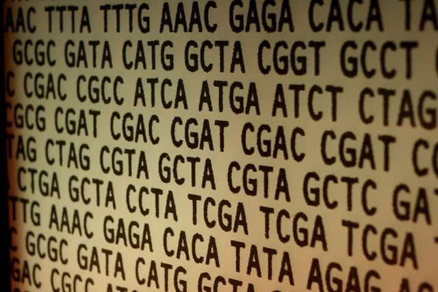Avery, MacLoed and McCarty determine that DNA is the molecule that carries the genetic code