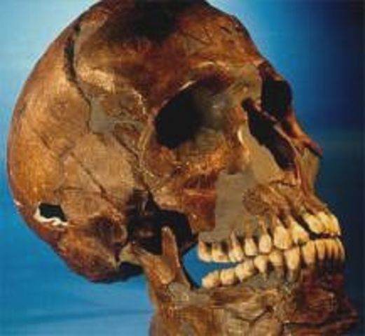 Homo Denisova fossil discovered