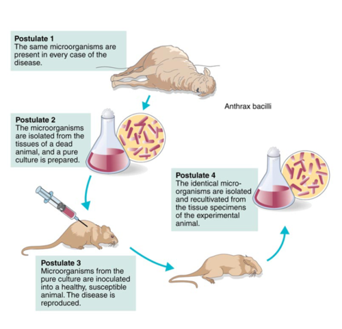 The Germ Theory of Disease