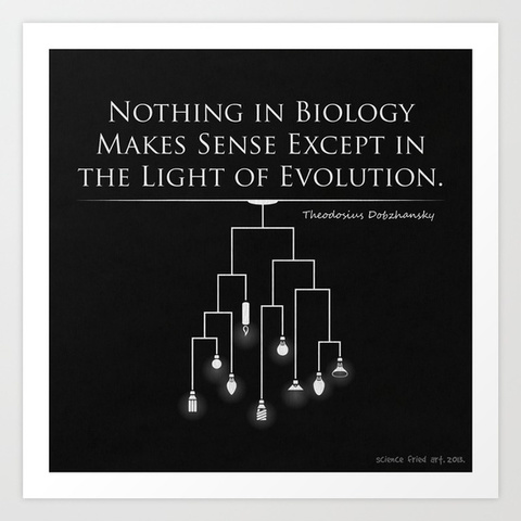 Theodosius Dobzhansky publishes “Nothing in Science Makes Sense Except in the Light of Evolution.”