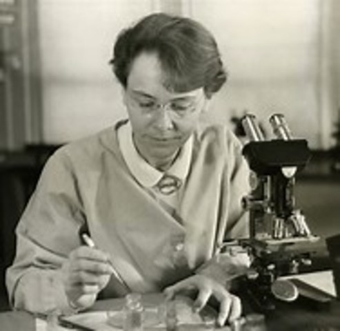 Barbara McClintock describes transposons