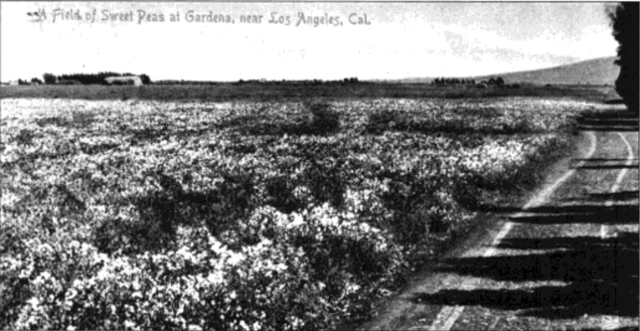 El pueblo es bautizado como "Gardena"