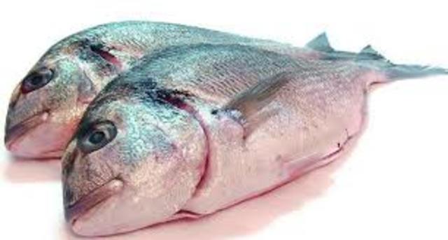 Alimentos peligrosos para gatos