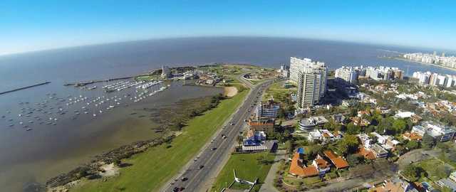 Afecciones Corticocerebrales