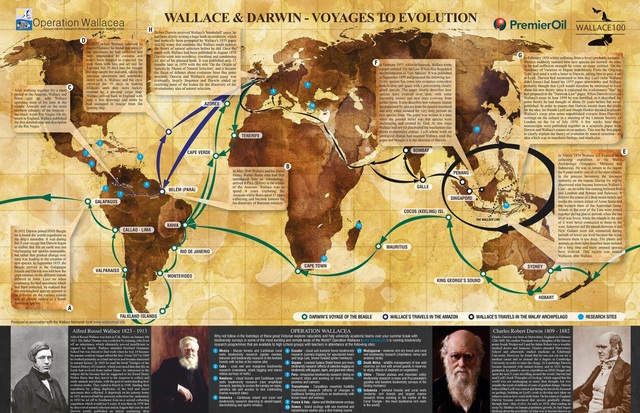 evolutionary processes