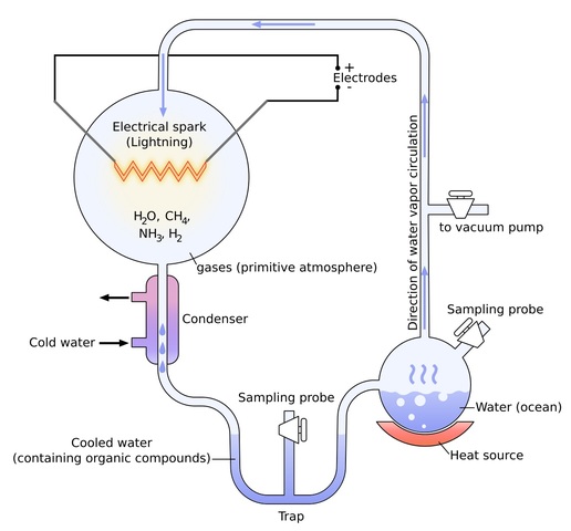 Miller Uray Experiments