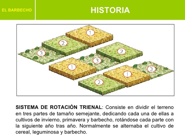 ROTACIÓN AGRÍCOLA.