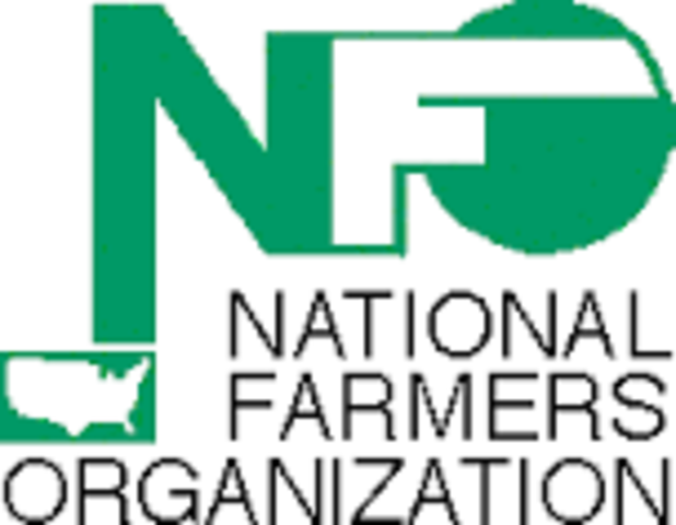 NFO Founded