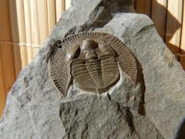 Late Ordovician