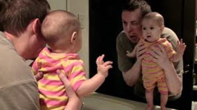 Likes to look at self in mirror