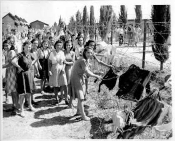 resistance in camps part 2