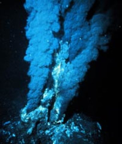 Deep sea hydrothermal vents and associated life around them are discovered