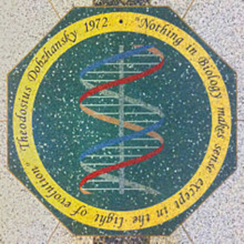 Theodosius Dobzhansky publishes “Nothing in Science Makes Sense Except in the Light of Evolution.”