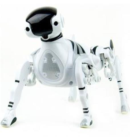 Robots mascota