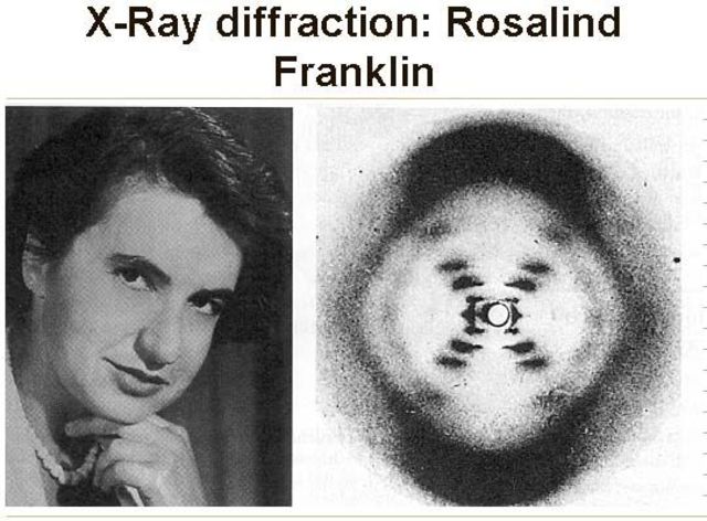 Rosalind Franklin works with DNA and X-Ray crystallography and develops “Image 51”