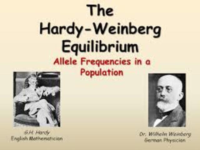 Hardy and Weinberg independently develop the Hardy-Weinberg equation for determining