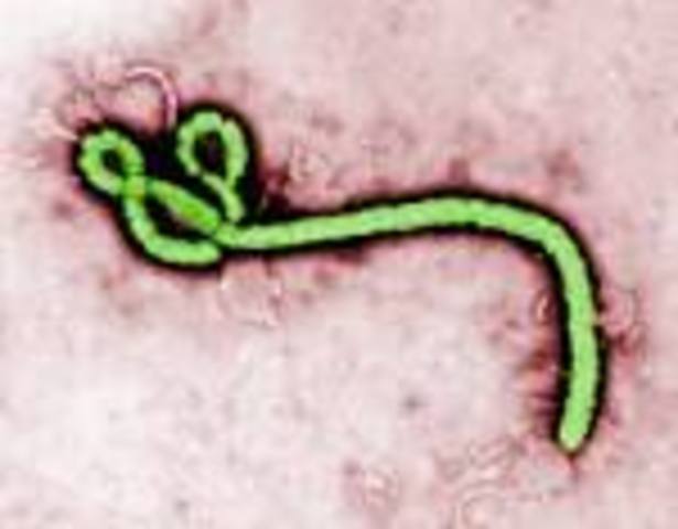 La OMS declara Ebola en España