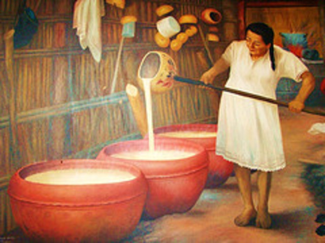 prohibicion del funcionamiento de las chicherias