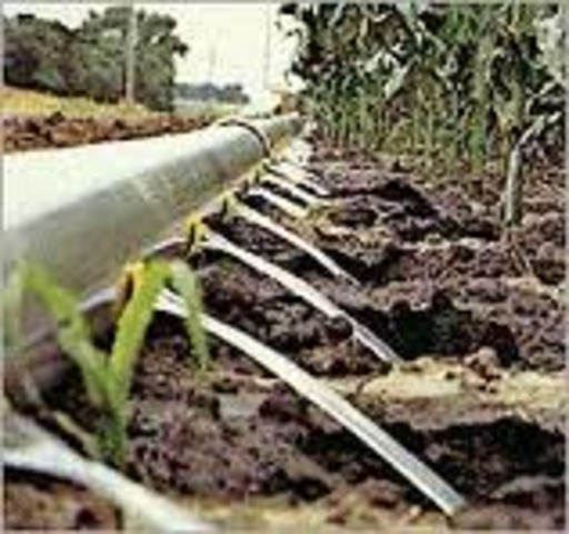 The Three Simultaneouslys