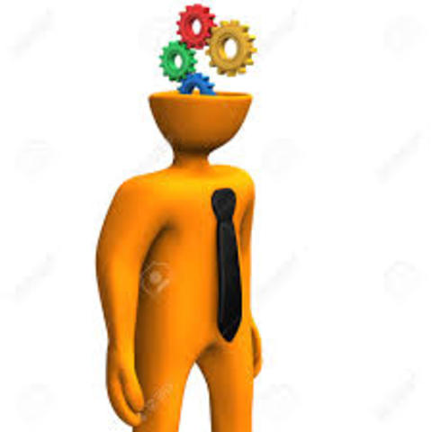 La Organización Mundial de la Salud (OMS)