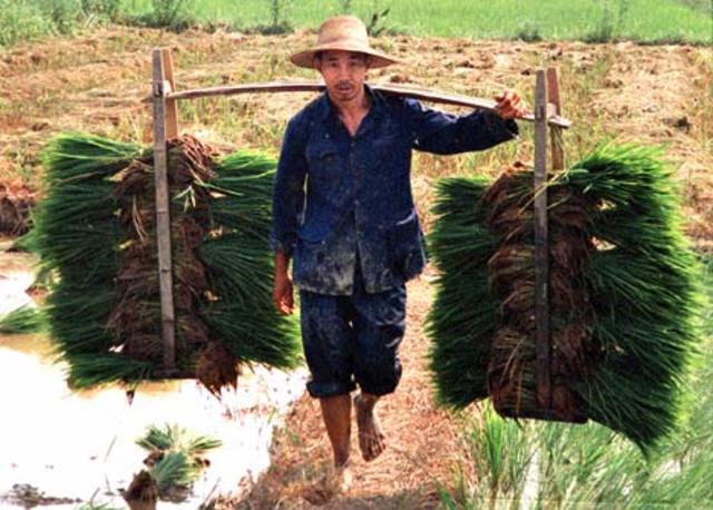 Mao's Initial Beliefs