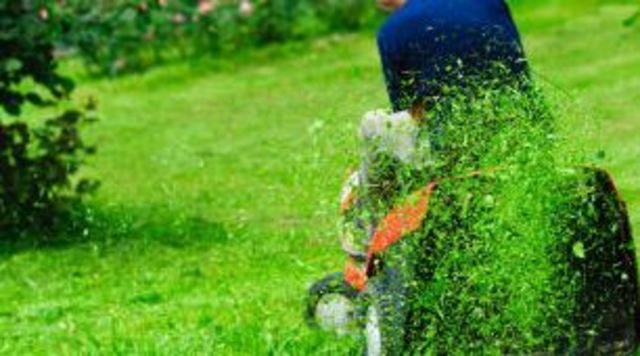 First Lawn Mower Patent