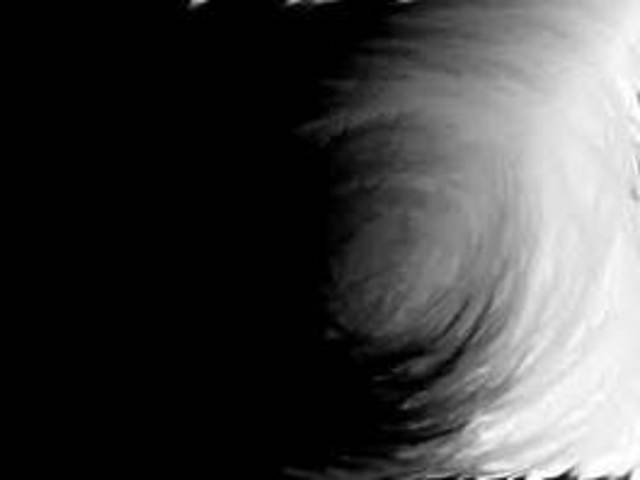 Scientists Extract Images Directly From The Brain II