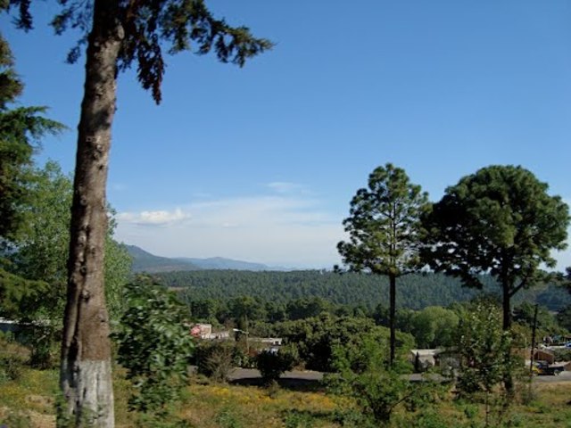 CAPÍTULO 2: TESTIGO UBICA A GERARDO C. EN EL SITIO EN EL QUE ENTERRARON EL CADÁVER DEL EMPRESARIO SECUESTRADO EN MORELIA