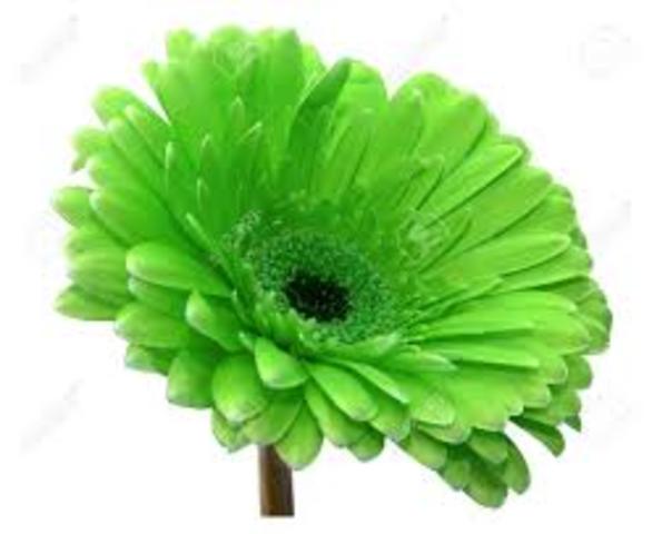 comision de cultura y medio ambiente.