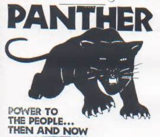 black panther party
