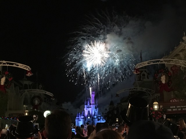 My new year on Disney World