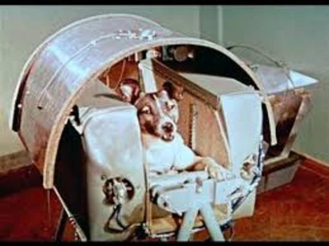 Sputnik 2 Is Launched